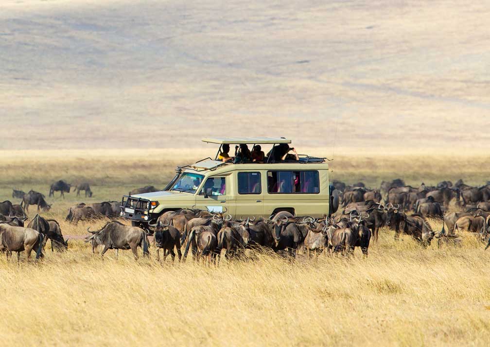 African Safari tours